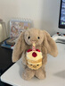 英國jellycat正品趣味玩偶蛋糕邦尼兔毛絨玩具安撫娃娃送生日禮物 米色抱蛋糕尼邦兔 31cm 曬單實(shí)拍圖