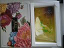 卡莎灡菩提梔子花進(jìn)口精油皂洗面沐浴清潔洗臉洗澡保濕水潤留香皂菩提梔子花皂200克【保濕水潤】 曬單實(shí)拍圖