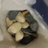 天然原生態(tài)溪流石底砂魚缸專用過濾鵝卵石小石頭龜缸造景裝飾底砂 16-25mm【200g裝】 天然溪流石 曬單實拍圖