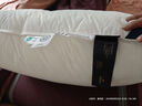 HILTON希爾頓好睡枕pro 抗菌成人頸椎護(hù)頸家用纖維枕頭芯 48*74cm 中枕 曬單實拍圖