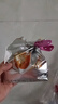 伊利金領(lǐng)冠育護 4段1200g三聯(lián)裝（400g*3）奶粉3-6歲學(xué)齡前兒童配方 育護4段1200克*1盒 曬單實(shí)拍圖