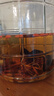 瀘州老窖 紅高粱酒 濃香型白酒 52度5L 大桶純糧泡酒自飲 曬單實(shí)拍圖