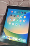 【二手95新】Apple ipad二手蘋果平板電腦 迷你mini二手平版電腦國行  17款 128G【影音娛樂】 曬單實(shí)拍圖