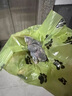 燕子食物幼鳥多種維生素蟲子灰燕鵙鸻鳳頭雨燕科幼崽吃的專用飼料 500g 1袋 【小燕子愛吃】 曬單實拍圖