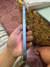 Apple【限時(shí)搶購】蘋(píng)果14plus iphone14plus系列 雙卡雙待全網(wǎng)通5G手機 蘋(píng)果14plus 6.7寸 藍色 256GB+全網(wǎng)通+質(zhì)保2年+配件禮包 曬單實(shí)拍圖