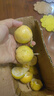 黃金百香果欽蜜9號大果孕婦新鮮當季鮮果妃多多 欽密9號百香果35-45g 15粒裝 爆甜【產(chǎn)地直發(fā)】越皺越甜 曬單實拍圖