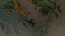 真維斯（JEANSWEST）薄荷綠純棉短袖t恤女士2025新款夏季潮流大碼女裝半袖寬松上衣 曬單實(shí)拍圖
