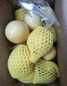 黃金百香果欽蜜9號(hào)新鮮當(dāng)季現(xiàn)摘精選好果水果百香果鮮果酸甜可口 欽蜜9號(hào)黃金百香果40~60g中果1斤 曬單實(shí)拍圖