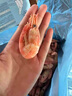 朵芙【頭籽北極蝦】4斤北極甜蝦 熟凍冰蝦元寶蝦腹籽甜蝦生鮮蝦類(lèi)禮盒 禮盒90-120精挑高頭籽 4斤(凈重) 曬單實(shí)拍圖