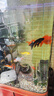 瘋狂水草（FKSC）魚(yú)缸除藻劑1100ml綠藻去苔劑青苔清除劑神器除藻去苔劑魚(yú)缸專(zhuān)用 曬單實(shí)拍圖