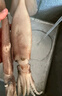 獐子島 冷凍整只魷魚1斤 5-7條 鐵板魷魚火鍋燒烤食材 海鮮軟足 曬單實拍圖