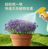 史丹利小黑飛專(zhuān)用藥呋蟲(chóng)胺多肉月季花土壤殺蟲(chóng)藥花卉植物專(zhuān)殺花盆殺蟲(chóng)劑 花卉殺蟲(chóng)劑500ml*2 【告別植物蟲(chóng)害】 曬單實(shí)拍圖