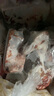 羋羊羊  寧夏灘羊肉分割半羊凈重10斤羊肉生鮮禮盒火鍋燒烤清真源頭直發(fā) 曬單實(shí)拍圖