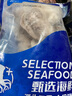 鴻順八爪魚1斤裝 去牙鮮活速凍小章魚 火鍋食材 生鮮凍品 曬單實拍圖