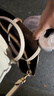 COACH【七夕禮物】蔻馳Mollie 25  可拆卸肩帶 斜挎Tote購物袋 女士 沙色拼粉筆CV965-IMXDM 現貨 曬單實(shí)拍圖