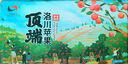 洛川蘋(píng)果陜西延安紅富士時(shí)令蘋(píng)果水果禮盒禮品蘋(píng)果生鮮新鮮脆甜整箱好吃 15枚70mm優(yōu)選果 禮盒裝 曬單實(shí)拍圖