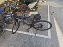 坎普（CAMP）RADON 公路車鋁合金順泰18變速單車圈剎運動賽車碳纖維前叉自行車 黑金剛 18速 520碼 曬單實拍圖