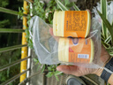 形象美凡士林保濕霜護(hù)手霜防手足腳后跟干裂膏皴裂皸裂膏油部護(hù)理裂可寧 曬單實(shí)拍圖