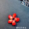 黃六爺突尼斯軟籽石榴5斤新鮮水果特大果當季四川會(huì )理紅寶石非無(wú)籽石榴 3斤【爆甜不吐籽】 小果【150~250g】新鮮超甜 曬單實(shí)拍圖