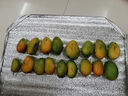 廣西小臺(tái)農(nóng)芒果 新鮮水果 帶箱2斤【單果80-120g】 曬單實(shí)拍圖