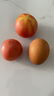 疆域采虹正宗普羅旺斯西紅柿現(xiàn)摘新鮮沙瓤水果生吃西紅柿沙漠特產(chǎn)自然熟 嚴(yán)選 5斤 超值裝 凈重約為4斤 曬單實(shí)拍圖