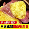 板栗薯番薯爆甜沙地蜜薯紅薯新鮮地瓜香甜粉糯無(wú)絲正宗黃心糖心 1斤 中小果 曬單實(shí)拍圖