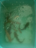 光威（GW）3.6米短節(jié)魚竿手竿閃將溪流新手釣魚竿溪流竿漁具魚桿釣魚釣竿 曬單實(shí)拍圖