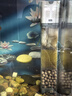 京業(yè)魚(yú)缸多功能過(guò)濾器JY-905F款20w 魚(yú)馬桶增氧三合一循環(huán)過(guò)濾 曬單實(shí)拍圖