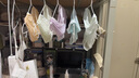 有棵樹【10A抗菌防螨】A類嬰兒棉內(nèi)褲女肌理透氣桑蠶絲加長襠無痕三角褲 曬單實(shí)拍圖