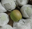 京覓 河北辛集香梨 凈重3斤 單果150g+ 生鮮水果梨子 源頭直發(fā) 包郵 曬單實拍圖