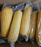 京鮮生 東北黃糯玉米250g*10棒 新鮮甜糯玉米棒真空包裝粘玉米 源頭直發(fā) 曬單實拍圖