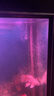 森森（SUNSUN）耀藍(lán)魚缸水泵變頻水泵潛水泵YTP-5000 32W 曬單實(shí)拍圖
