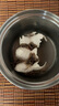 蝎子活全蝎正宗沂蒙山野性十足活蝎子食用活體毒蝎子油炸泡酒煲湯 20只特大公母6-7厘米送2只防死 曬單實(shí)拍圖