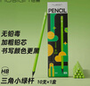 紐賽（NUSIGN）三角桿鉛筆學(xué)生考試素描繪圖寫字練字書寫小學(xué)生幼兒園禮物綠色護(hù)眼緩解視覺疲勞 10支 NS743-HB 曬單實(shí)拍圖