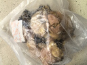 北海印象【北海產(chǎn)地】金蠔干大號250g牡蠣干煲湯煮粥材料 源頭直發(fā)包郵 曬單實拍圖