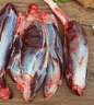 鮮京采 新西蘭原切去骨羊后腿肉4斤 燒烤燉煮食材 羊肉 京東自有品牌 曬單實拍圖