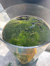 日清丸紅飼料孔雀斗魚蘭壽金魚糧 燈魚慈鯛小型魚食 高蛋白增艷發(fā)色緩沉型飼料 B2型(50克) 顆粒大小0.4-0.63mm 曬單實(shí)拍圖