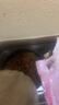 皇家幼貓奶糕 幼貓貓糧 BK34 通用糧 1-4月 2KG 曬單實拍圖