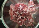 邊塞風(fēng)寧夏鹽池灘羊肉羔羊蝎子 凈重2斤 原切冷凍羊蝎火鍋食材寧夏地標 曬單實(shí)拍圖