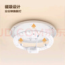 公牛（BULL）Led吸頂燈改造燈圓形泡燈條貼片替換燈盤光源 24W圓形6500K 曬單實拍圖