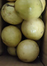 京地達廣西欽蜜9號黃金百香果 凈重5斤單果60-70g/35-42個(gè) 源頭直發(fā)包郵 曬單實(shí)拍圖