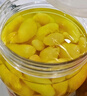 云山半枸杞泡姜芽500g 山東泡嫩姜仔姜芽生姜腌菜下飯菜泡菜 曬單實(shí)拍圖