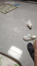 帕爾司豬肋排 4斤 豬排骨 豬肋骨 精肋排 冷凍豬肉生鮮  曬單實拍圖