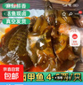光州麻辣甲魚熟食即食整只鹵味甲魚團魚網(wǎng)紅麻辣鮮活食用鹵王八 300-350g五香 3只 曬單實拍圖