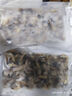 販鮮灣新鮮速凍大號(hào)蟶子肉新鮮捕撈鮮剝無(wú)沙去殼純?nèi)庀|子肉冷凍竹節(jié)蟶 1250g 冷凍蟶子肉每包1.25斤共2.5斤 曬單實(shí)拍圖