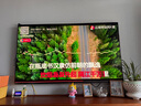 天籟K歌MM-8無線麥克風(fēng)家用電視k歌話筒適用海信東芝tcl東芝雷鳥vidda卡薩帝海爾問界阿維塔車載麥克風(fēng) MM-8【VM7G-T】充電雙話筒高品質(zhì)音效至尊款 曬單實(shí)拍圖