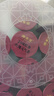固本堂24味紅參玫瑰氣血茶養(yǎng)生茶補(bǔ)氣血女補(bǔ)氣養(yǎng)血玫瑰花茶禮盒七夕禮物 曬單實(shí)拍圖