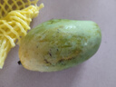 庾豐 當(dāng)季現(xiàn)摘芒果 新鮮水果整箱 熱帶青皮芒 當(dāng)季孕婦 生鮮 團(tuán)購送禮 5斤裝（凈果4.5斤）優(yōu)選果 曬單實(shí)拍圖