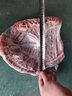 鮮羊官 內蒙呼倫貝爾羊肉 20斤草飼散養(yǎng)現殺全羊白條羊生鮮新鮮整只羔羊 現殺羔羊20斤 曬單實拍圖