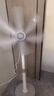 駱駝電風(fēng)扇家用落地扇電扇立式學(xué)生宿舍辦公室迷你風(fēng)扇節能輕音大風(fēng)力 落地扇強風(fēng)六葉【灰色】 標配 1.3米電線(xiàn) 曬單實(shí)拍圖